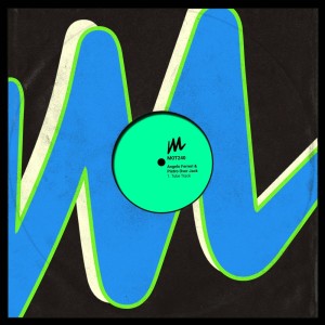ดาวน์โหลดและฟังเพลง Tube Track (Extended Mix) พร้อมเนื้อเพลงจาก Angelo Ferreri