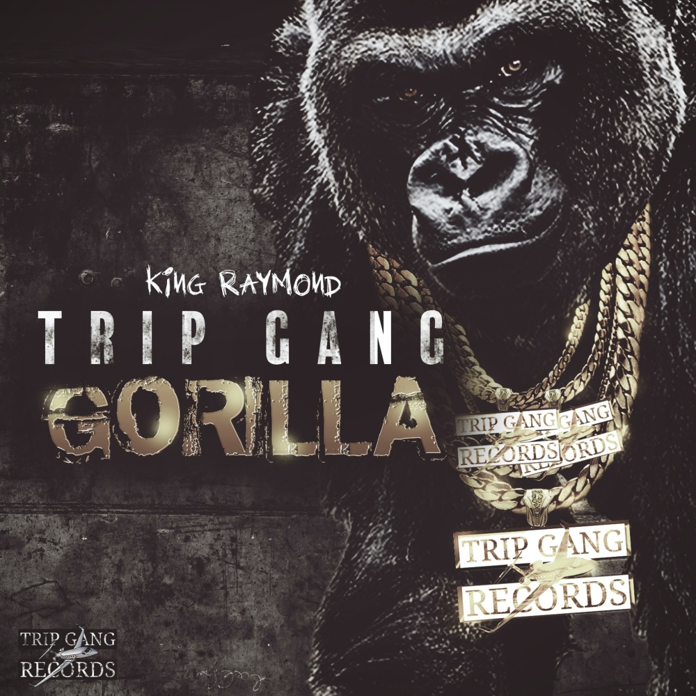 Trip Gang Gorilla (Explicit)