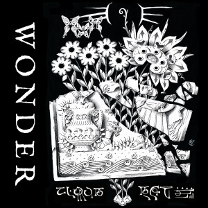 ดาวน์โหลดและฟังเพลง Wonder พร้อมเนื้อเพลงจาก Cloud Rat