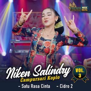 收聽Niken Salindry的Satu Rasa Cinta歌詞歌曲