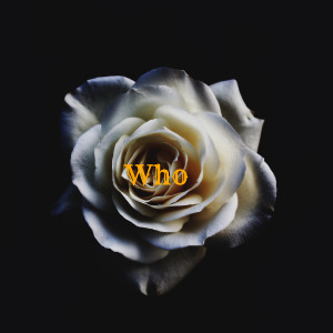 Listen to Who (Explicit) song with lyrics from wisejake