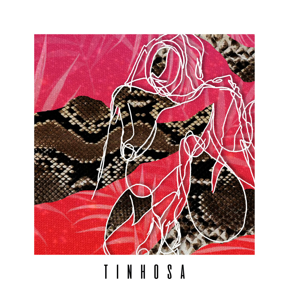 Tinhosa