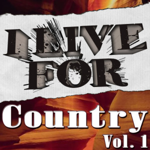ดาวน์โหลดและฟังเพลง Rhinestone Cowboy (Originally By Glen Campbell) พร้อมเนื้อเพลงจาก The Hit Crew