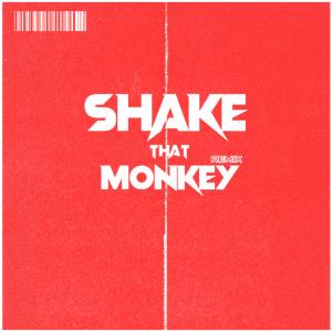 SHAKE THAT MONKEY (TYPE-ONE Remix) (Explicit)