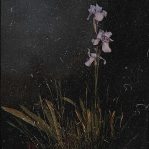 收聽Prodigal的ROT歌詞歌曲