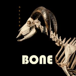 Geiger的專輯Bone