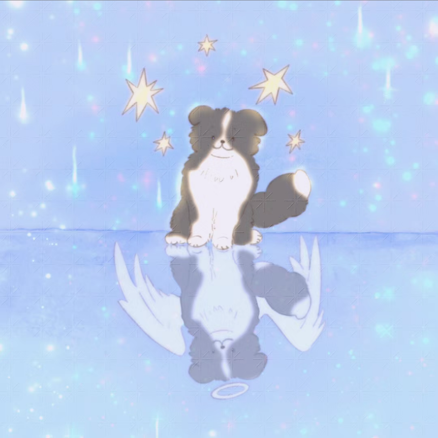 彗星有回音