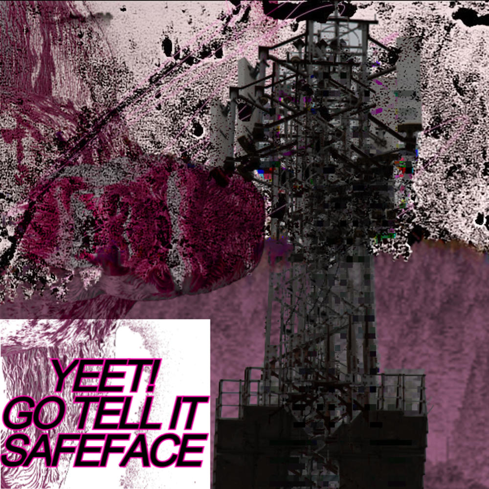 SAFEFACE