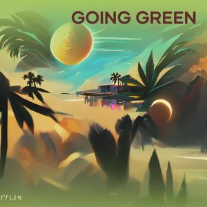 Album Going Green from Joe Tamaela