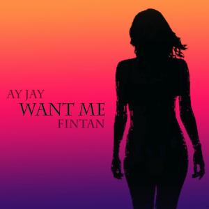 Fintan的專輯Want Me (Explicit)