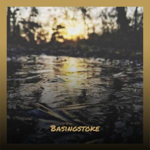 Listen to Basingstoke song with lyrics from Rasta Raci