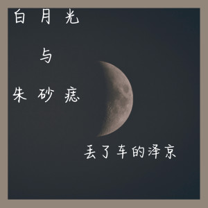 收听丢了车的泽京的白月光与朱砂痣歌词歌曲