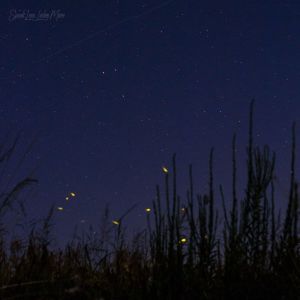 Album Oxygen from Kioku