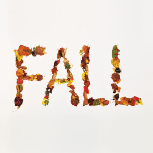 Album Fall oleh Crucial Star