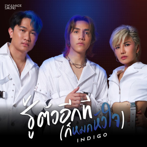 อัลบัม รู้ตัวอีกที (ก็หมดหัวใจ) ศิลปิน Indigo