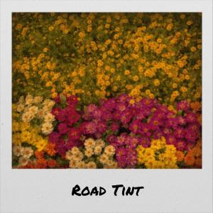 Album Road Tint from Various