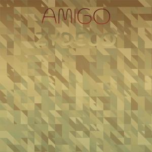 Album Amigo Zydeco from Various