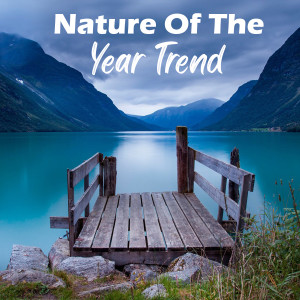 Album Nature Of The Year Trend from Viral