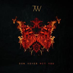 Album Hit You from Don Voyer