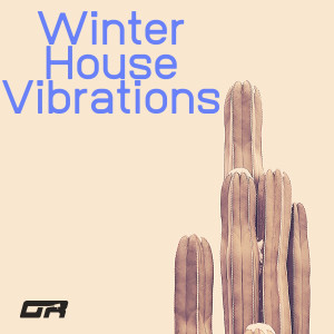 Album Winter House Vibrations from Various