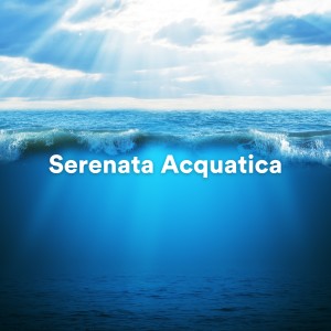 Listen to Serenata delle Profondità song with lyrics from Suoni Naturali
