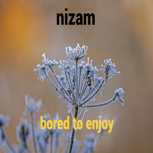 Listen to Bored To Enjoy song with lyrics from Nizam