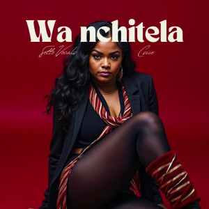 Album Wa nchitela from 