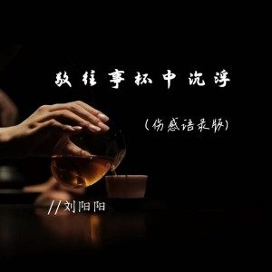 Album 敬往事杯中沉浮（伤感语录版） from 刘阳阳