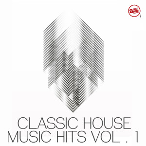 收聽The Miami Collective的Never Gonna Give Up (Studio 54 Mix)歌詞歌曲