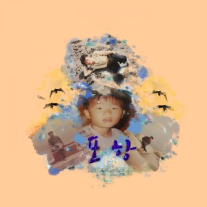Album 포항 from 오베르