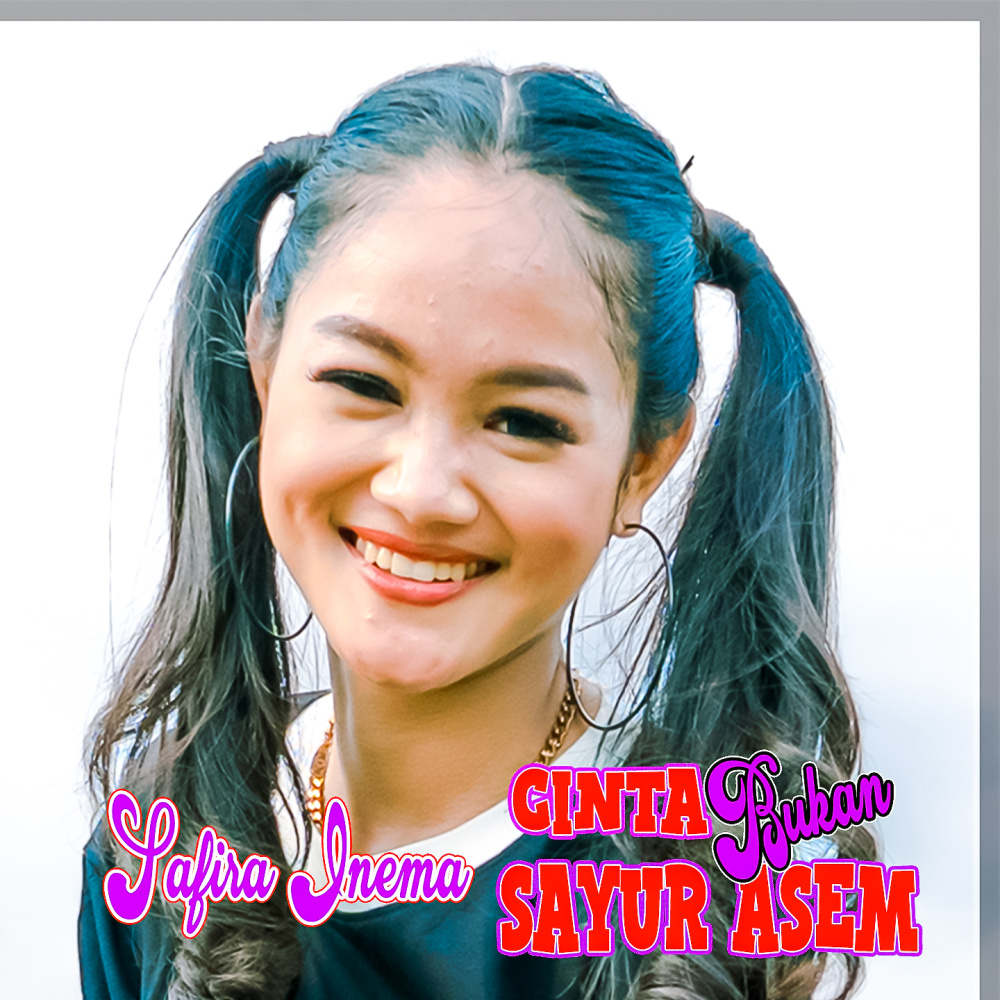 Cinta Bukan Sayur Asem