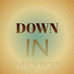 Silvia Natiello-Spiller的專輯Down In Mexico