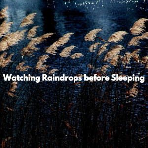 Watching Raindrops before Sleeping