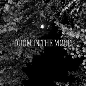 Listen to Party Is Over song with lyrics from Doom