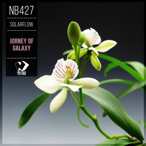 SolarFlow的專輯Jorney of Galaxy