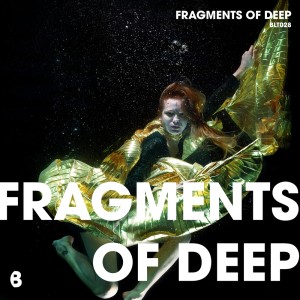 Various Artists的專輯Fragments of Deep