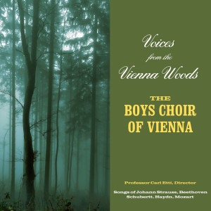 Boys Choir Of Vienna的专辑Voices From The Vienna Woods