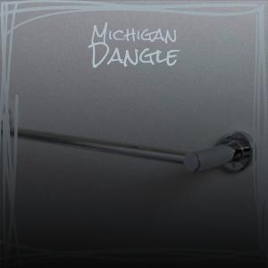อัลบัม Michigan Dangle ศิลปิน Various