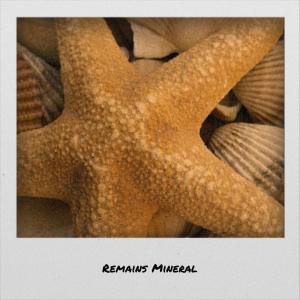 Various的专辑Remains Mineral