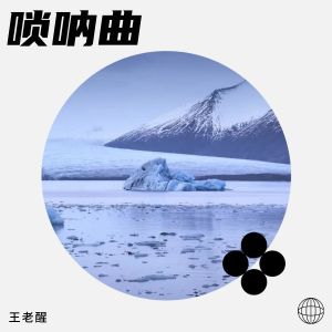 Listen to 唢呐曲 (完整版) song with lyrics from 王老醒