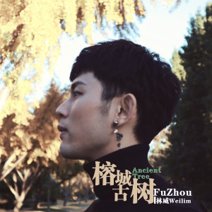 Album 榕城古树 FuZhou from 林威Weilim