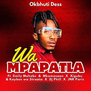 Okbhuti Dess的專輯Wa Mpapatla (feat. Emily Mohobs, Mkoma Saan, Xigubu, Kaybee Wa Strata, Dj Phill & Jnr Paris)