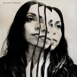 Listen to Wild song with lyrics from DIA LUNA
