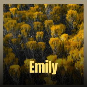 收聽Dardo Inin的Him Downtown歌詞歌曲