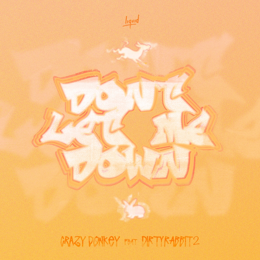Don't Let Me Down