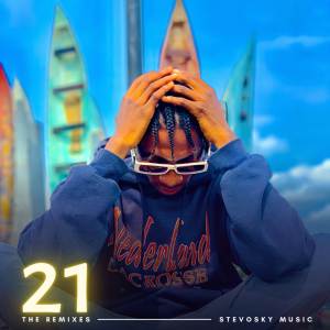 อัลบัม 21 [The Remixes] ศิลปิน Stevosky Music