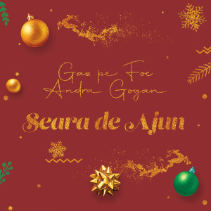 Album Seara de Ajun from Andra Gogan