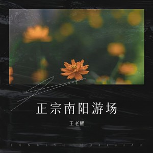 Listen to 正宗南阳游场 (完整版) song with lyrics from 王老醒