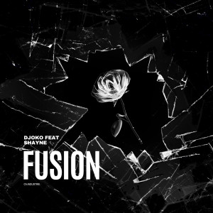 收聽DJOKO的Fusion歌詞歌曲