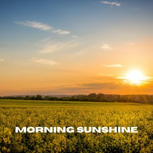 อัลบัม Morning Sunshine ศิลปิน The White Noise Zen & Meditation Sound Lab